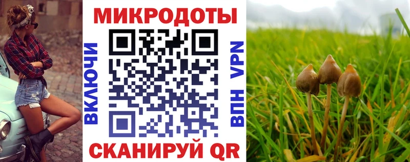 Псилоцибиновые грибы мицелий  магазин продажи наркотиков  Невель 